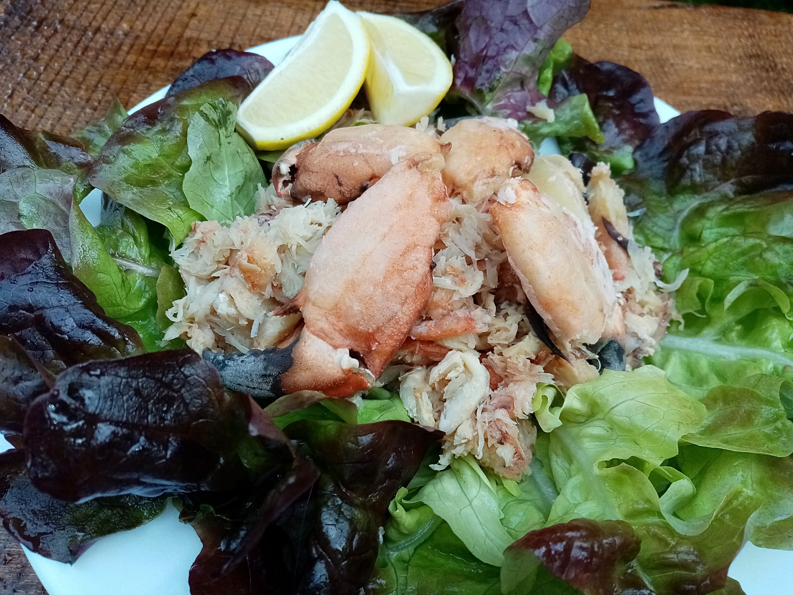 gastronomía chilota